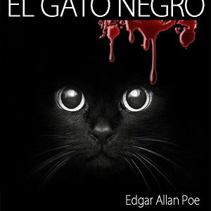 The black cat